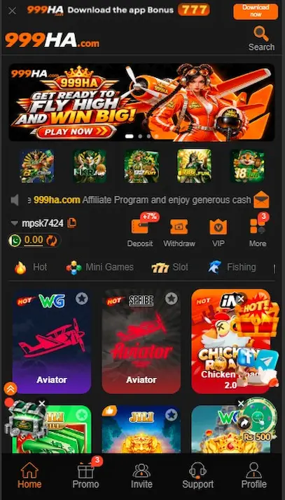 999 ha game interface

