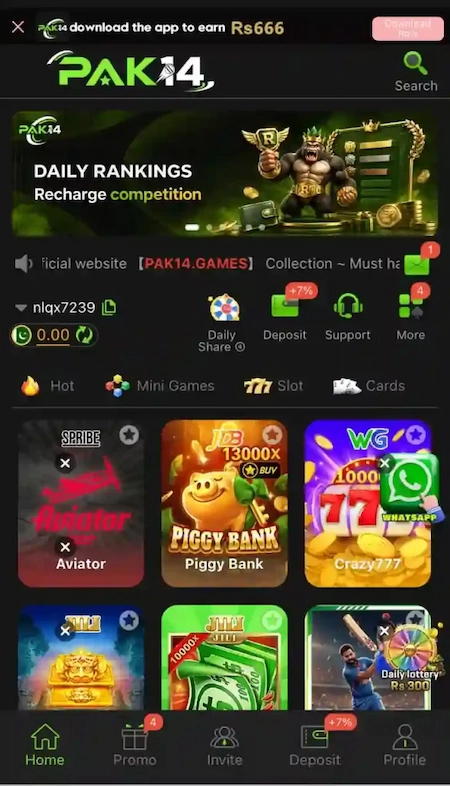 Pak14 Game Interface