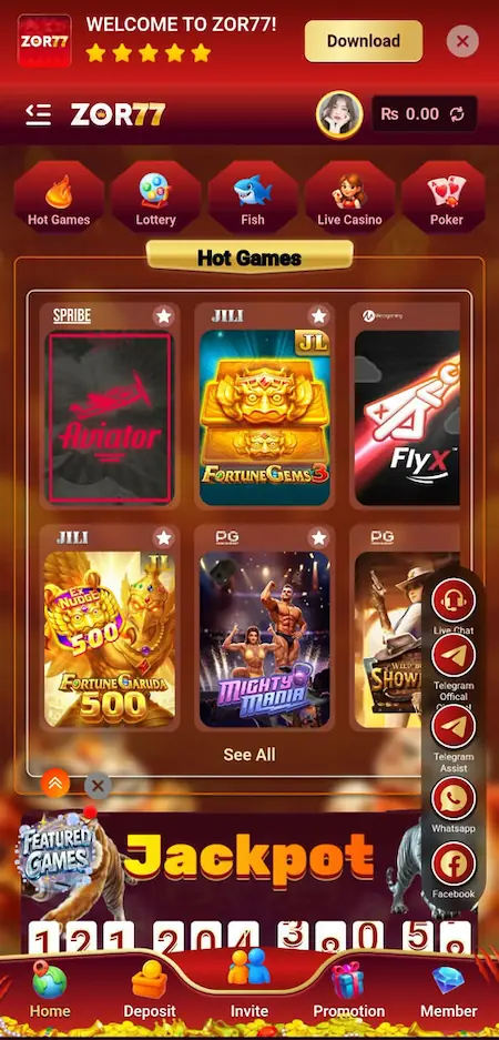 Zor77 Game interface